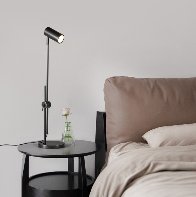 Светильник DZN2-5-23 ЧЕРНЫЙ ` D500/H620/1/E27/40W BASS 25-10