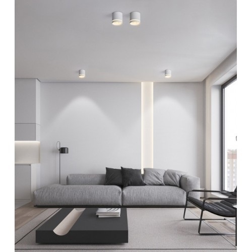 Светильник SPF-6250 БЕЛЫЙ ` D80/H80/1/G53/12W без лампы металлический корпус FERRUM 25-01 (1/50)